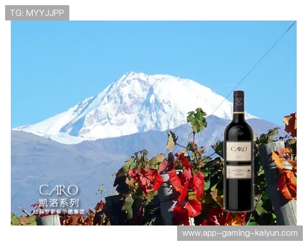 波尔多携手地方合作,开启训练与康复新时代 波尔多携手地方合作,开启训练与康复新时代